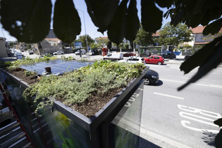 Na Maia há jardins nas paragens de autocarro