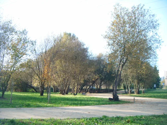 Parque