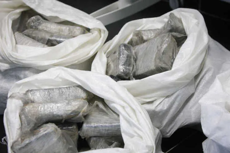 Quatro traficantes de cocaína apanhados na Maia