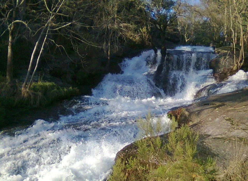 Limpeza do rio Leça arranca segunda-feira na Maia