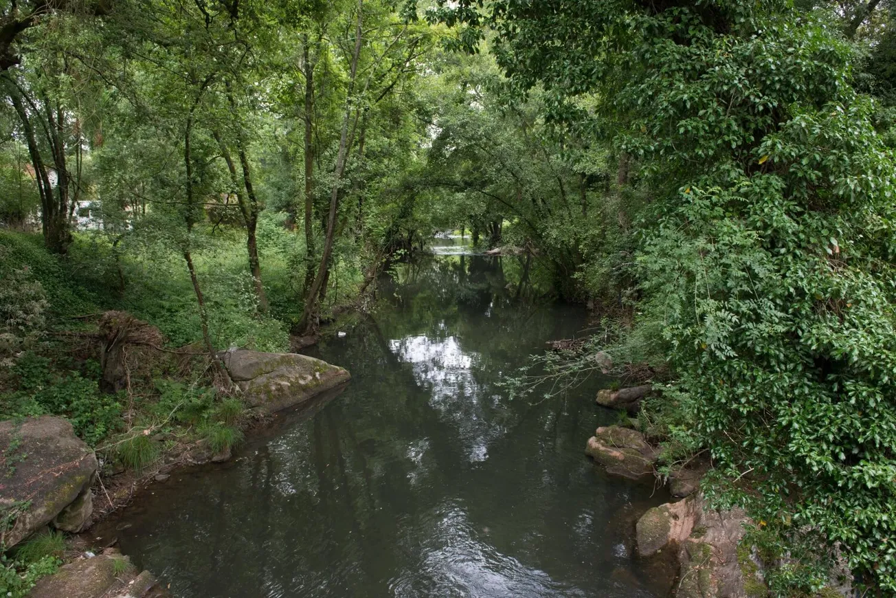 Rio Leça