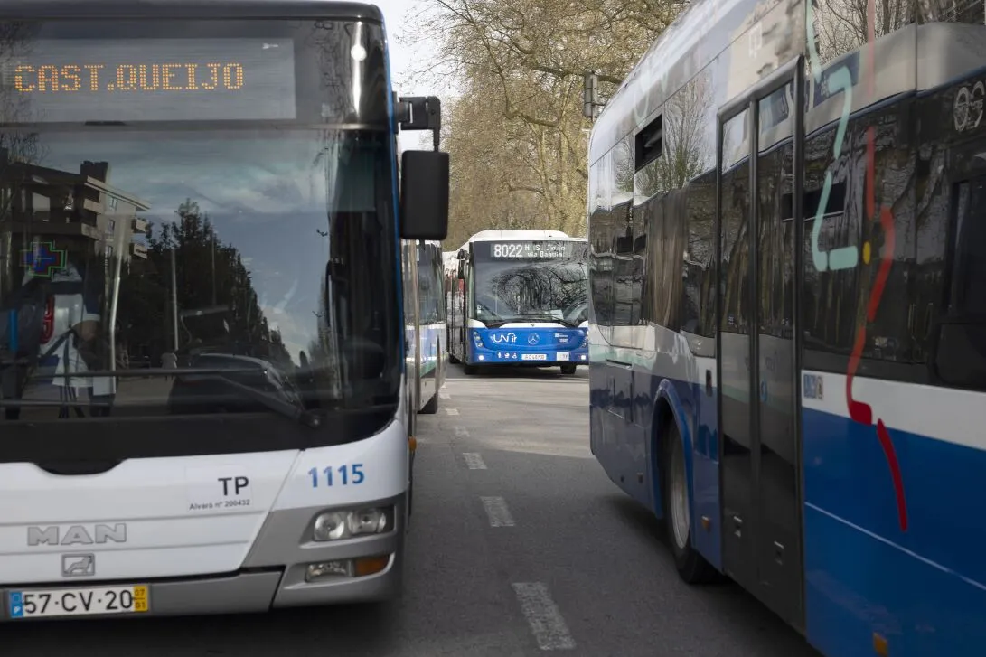 Matosinhos, Maia e Trofa: estes são os novos números dos autocarros da Unir